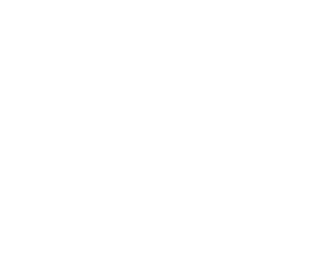 Voices for Innovation logo, reverse white