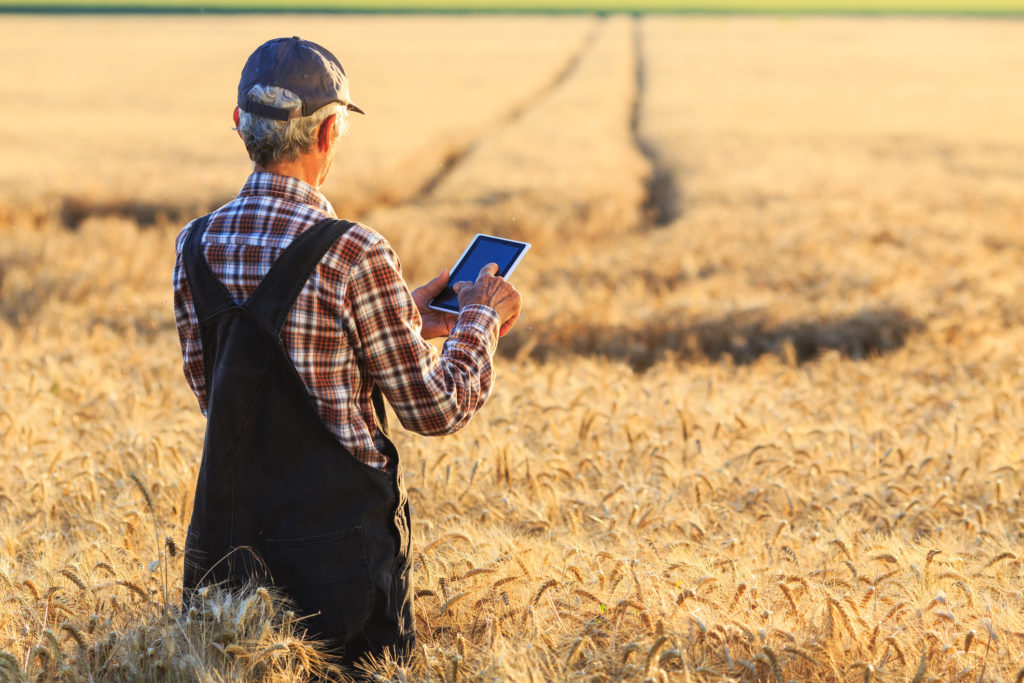 A man stands in a field of wheat on an iPad representing the need for rural broadband access.